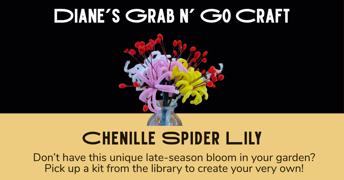 Diane’s Grab n’ Go Craft.  Chenille Spider Lily.  Don’t have this unique late-season bloom in your garden? Pick up a kit from the library to create your very own!